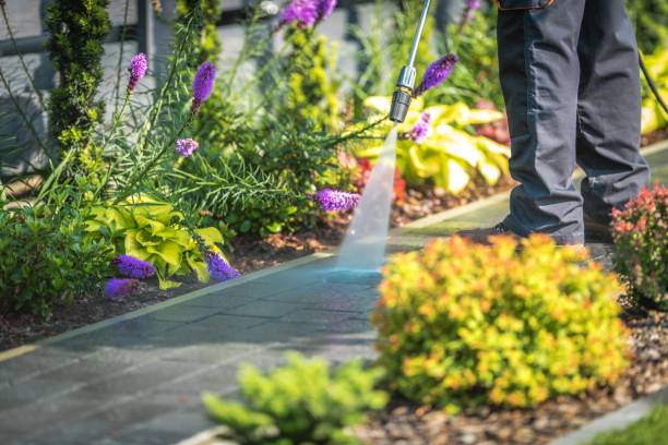 Trusted Casselberry, FL Pressure Washing Experts